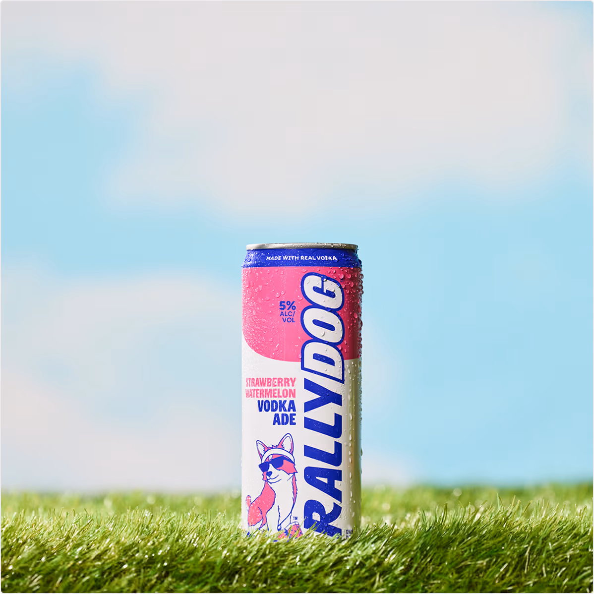 A can of Rally Dog Strawberry Watermelon Vodka Ade on grass